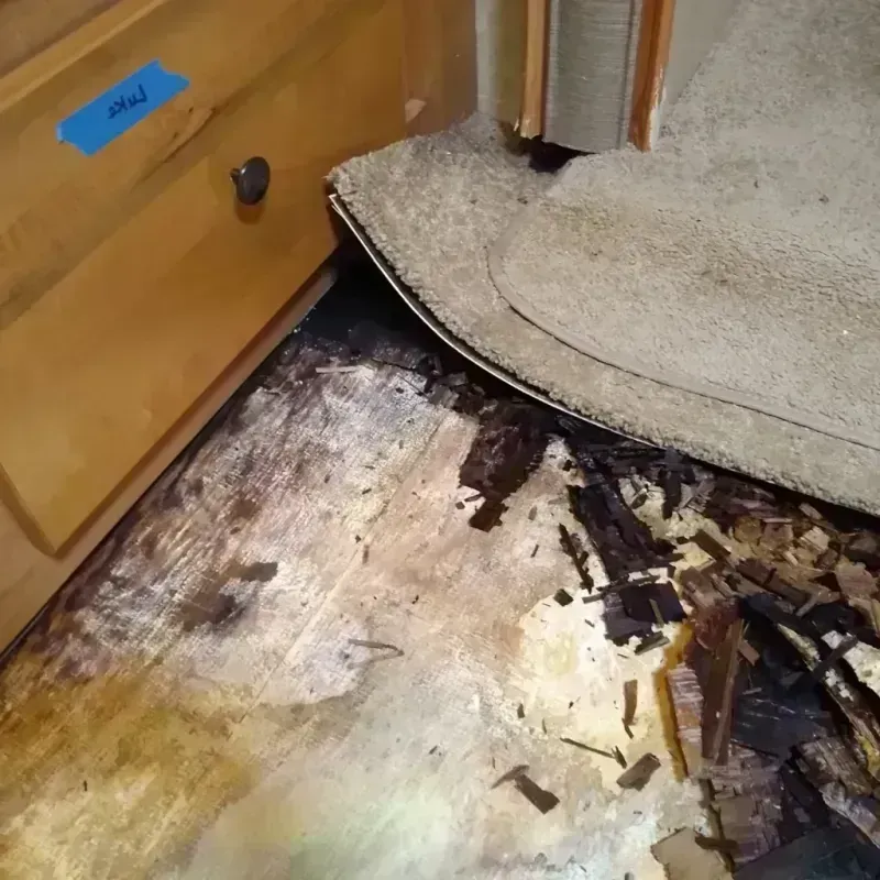 Wood Floor Water Damage in Damascus, OR